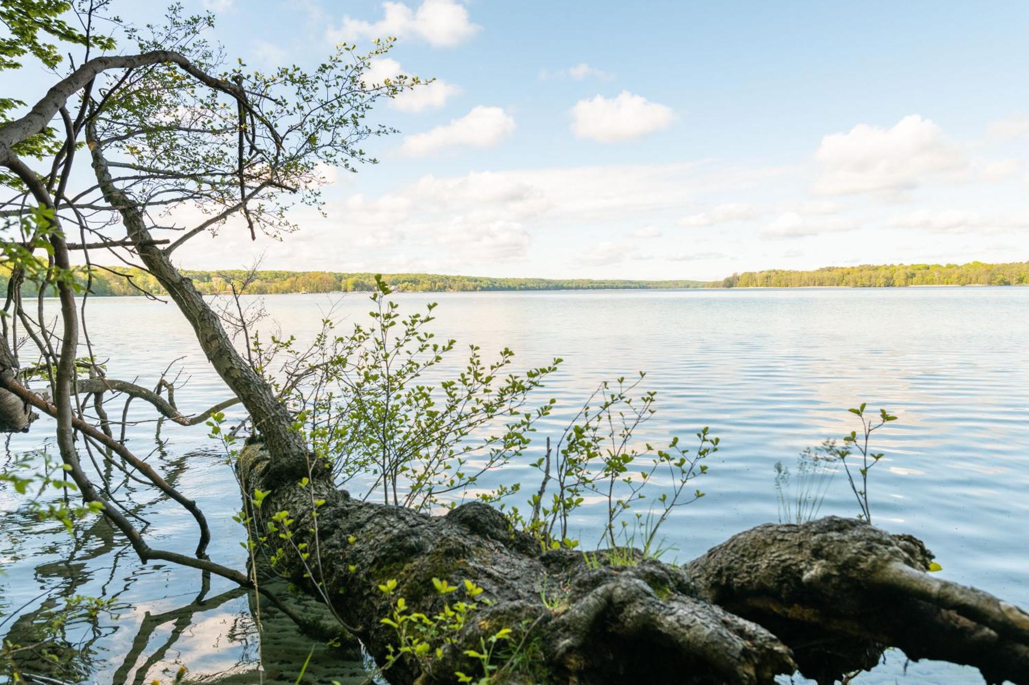 Budget Seezeit-Resort Am Werbellinsee Altenhof  Esterno foto
